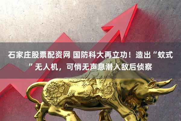 石家庄股票配资网 国防科大再立功！造出“蚊式”无人机，可悄无声息潜入敌后侦察